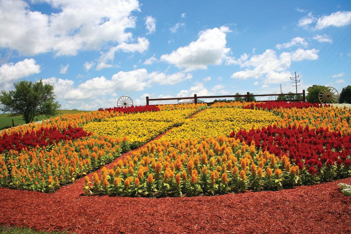 Quilt Gardens bringing back vivid colors to Elkhart County cities and towns for