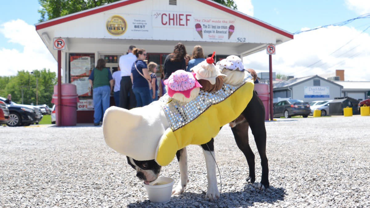 PetFriendly Elkhart County Daycare, Vet Clinics & Hotels