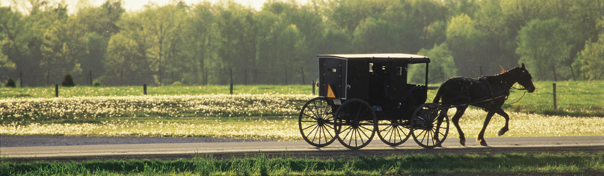 Things to Do in Shipshewana, Indiana | Amish Dining & Events