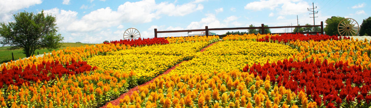 Sign Up for E-news: Elkhart County, Northern Indiana