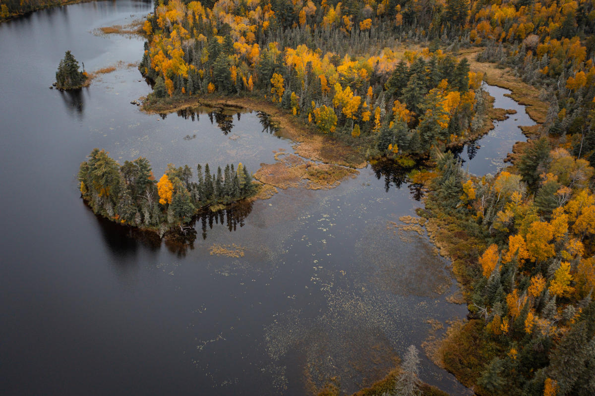Superior National Forest