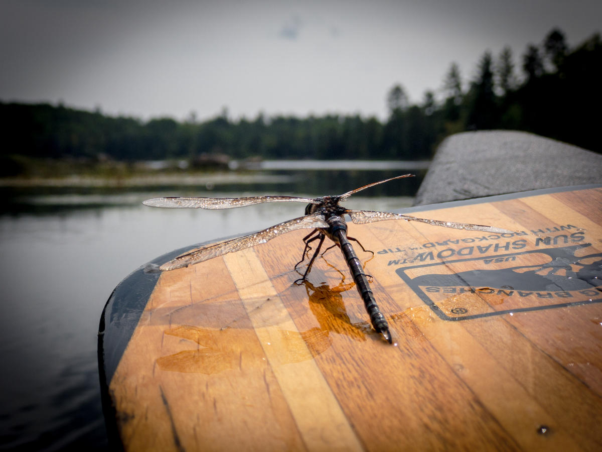 BWCA Permits Boundary Waters Permits, Ely, MN