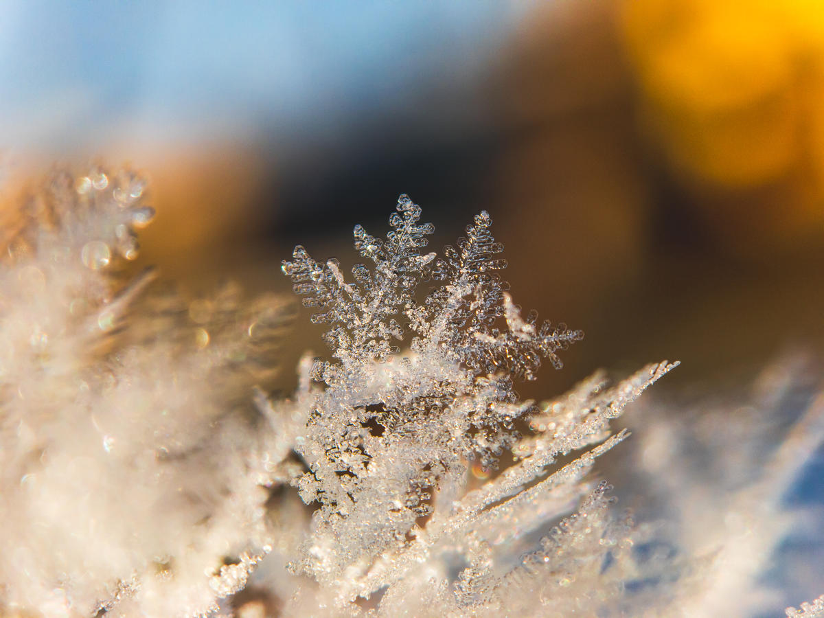 Ely, MN Services Churches