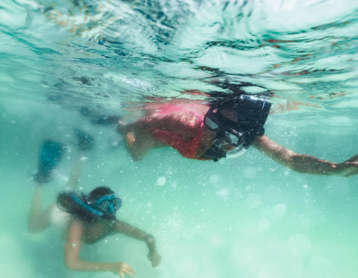 Snorkeling in Destin Find the Best Spots in Choctawhatchee Bay
