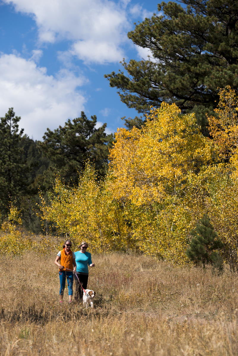 7 Fun Fall Events In Estes Park Autumn Festivals