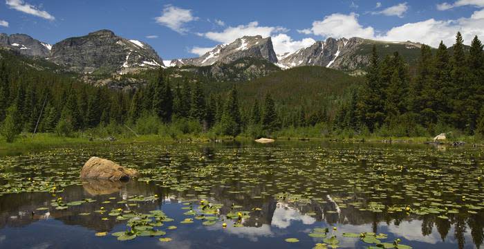 Estes Park Off Road Amp 4 Wheeling Fun In Roosevelt National