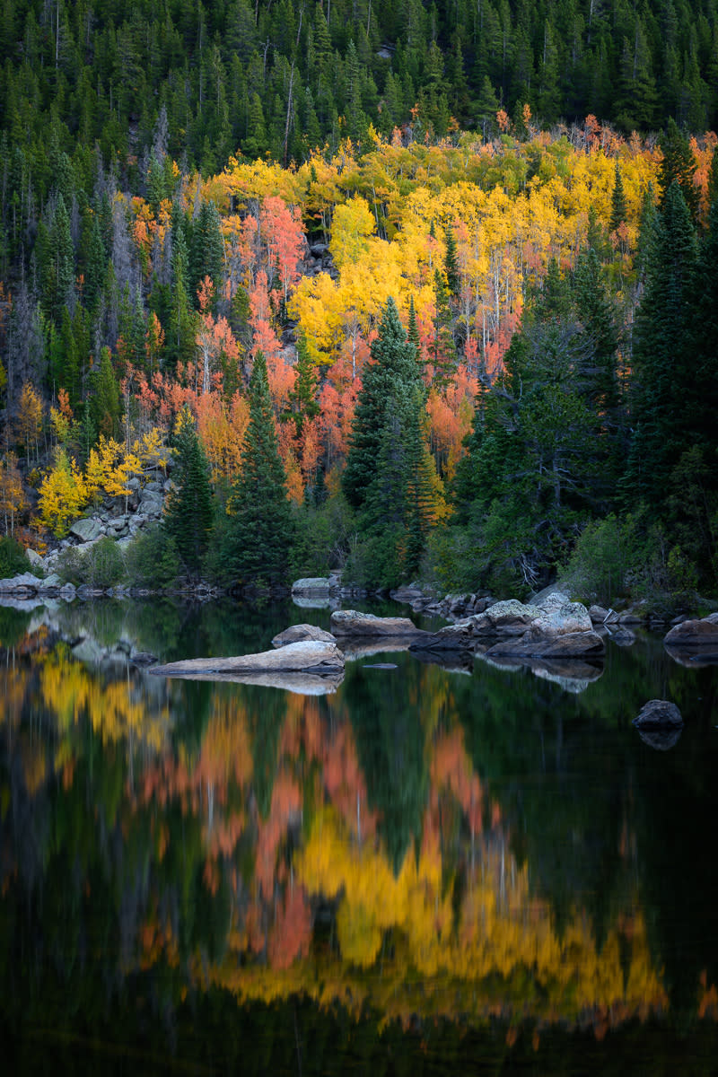 Estes Park Co Lodging Things To Do Restaurants