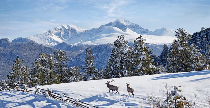 Colorado Winter