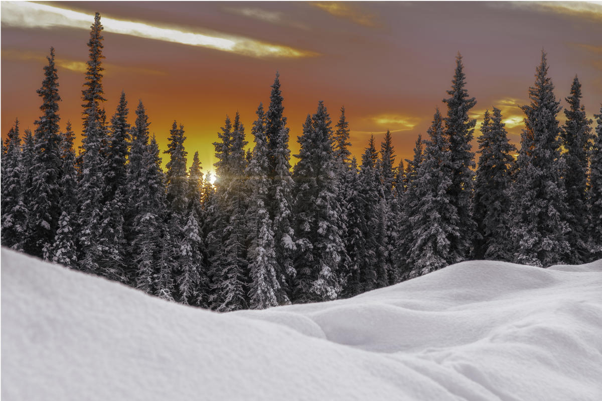 247 winter store