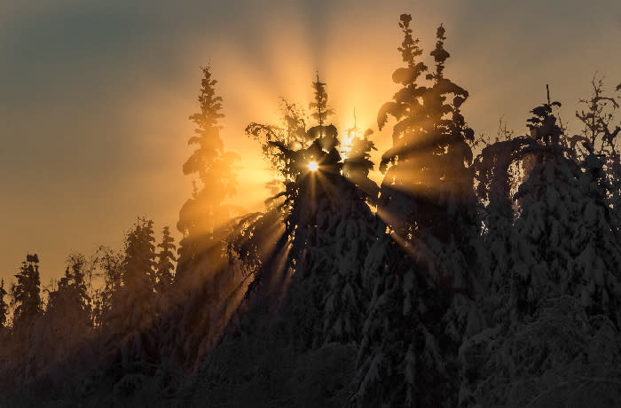 Fairbanks Alaska S Winter Solstice Through The Eyes Of Photographers