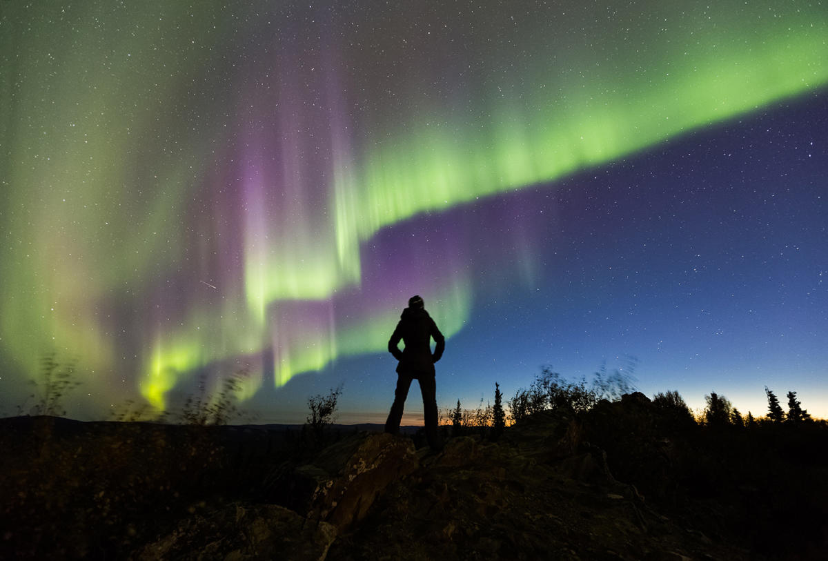 Aurora Borealis Real-Time Tracker Explore Fairbanks Alaska