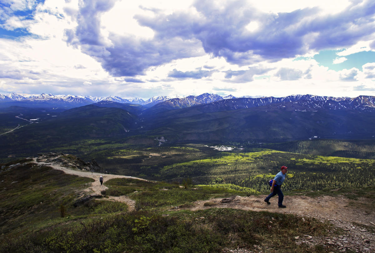 Our Guide to The 4 Best Hiking Trails in Denali National Park