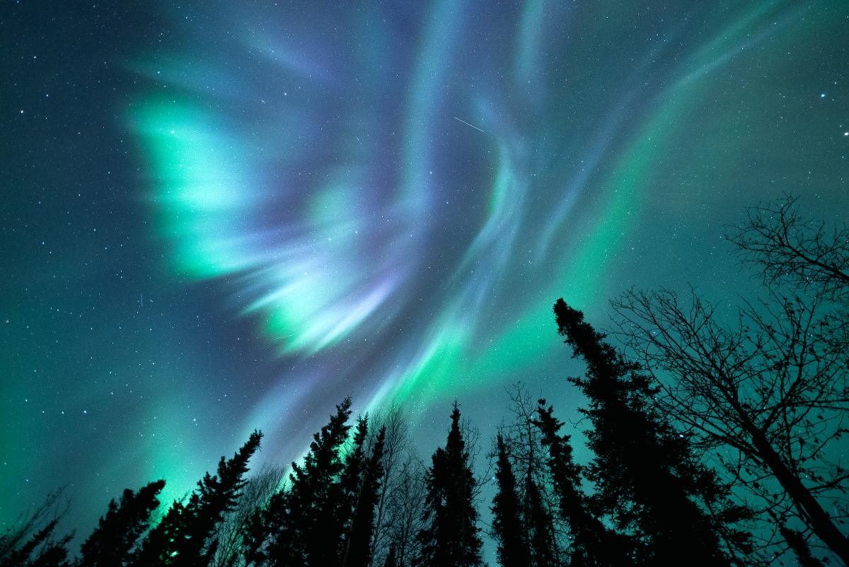 Egetræ slot Valnød World Famous Northern Lights Viewing | Explore Fairbanks, Alaska