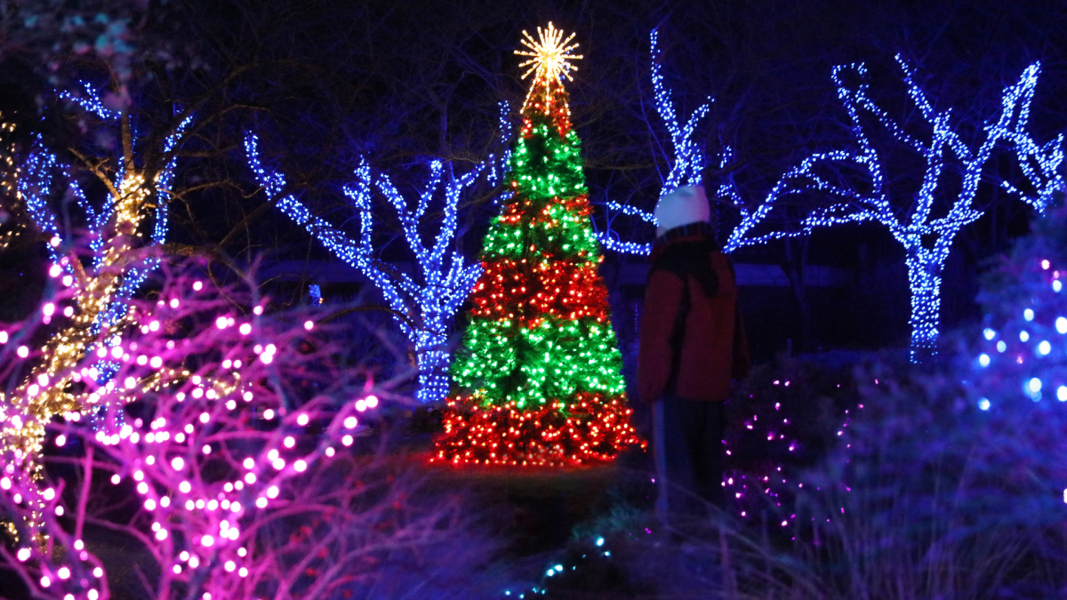 Holiday Activities & Events in DC & Fairfax County