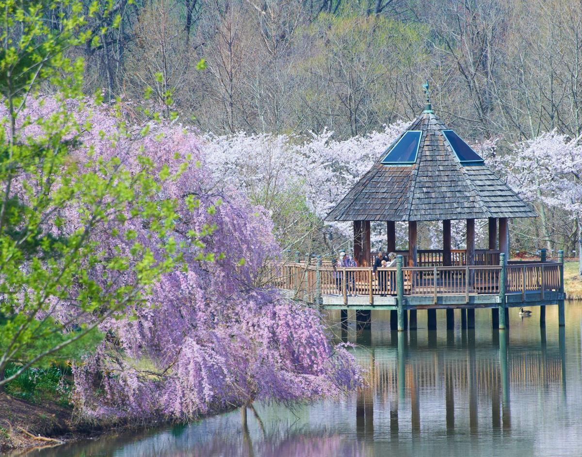 places to visit in virginia in spring