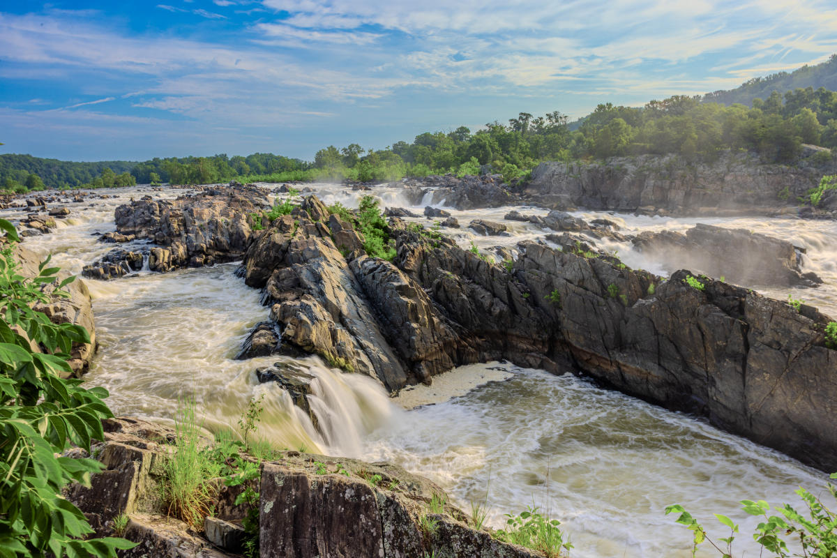 Earth Day Fairfax returns to Lake Fairfax Park