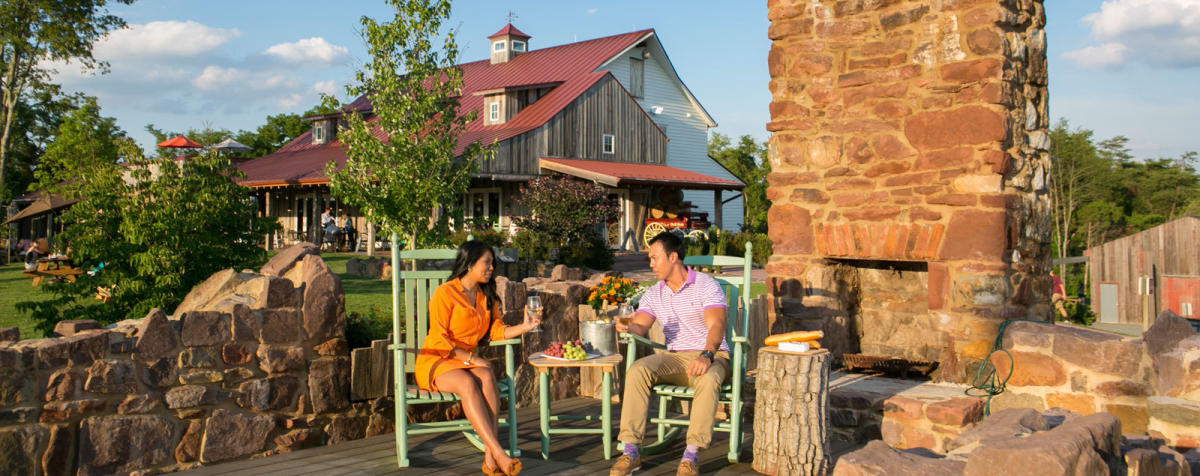 Enjoy Fairfax County's Award-Winning Historic Wineries