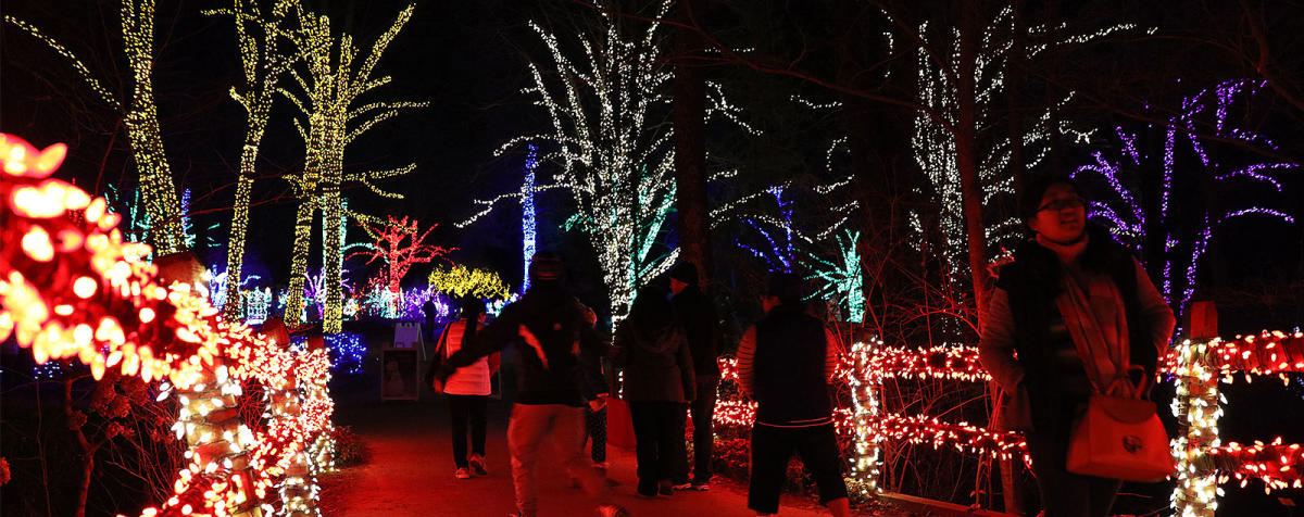 The Pike Lake Festival of Lights