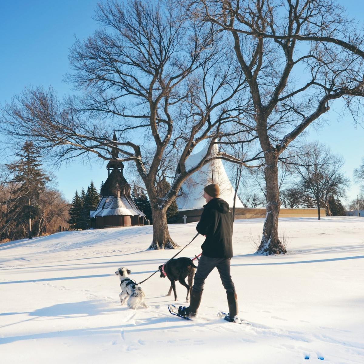 Dogfriendly spots to check out in FargoMoorhead