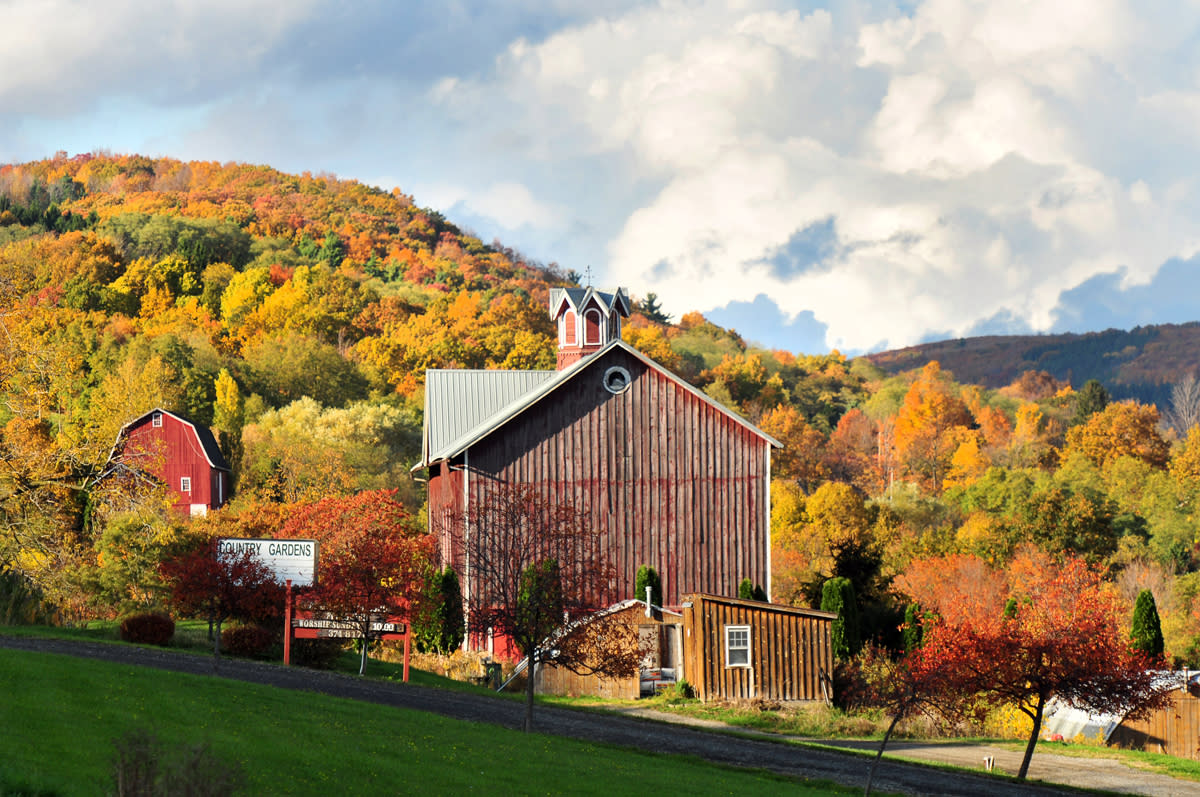 Best Fall Foliage in the Finger Lakes | Events & Festivals