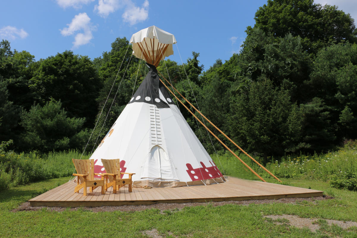 Visit Mountain Horse Farm Things to Do Finger Lakes