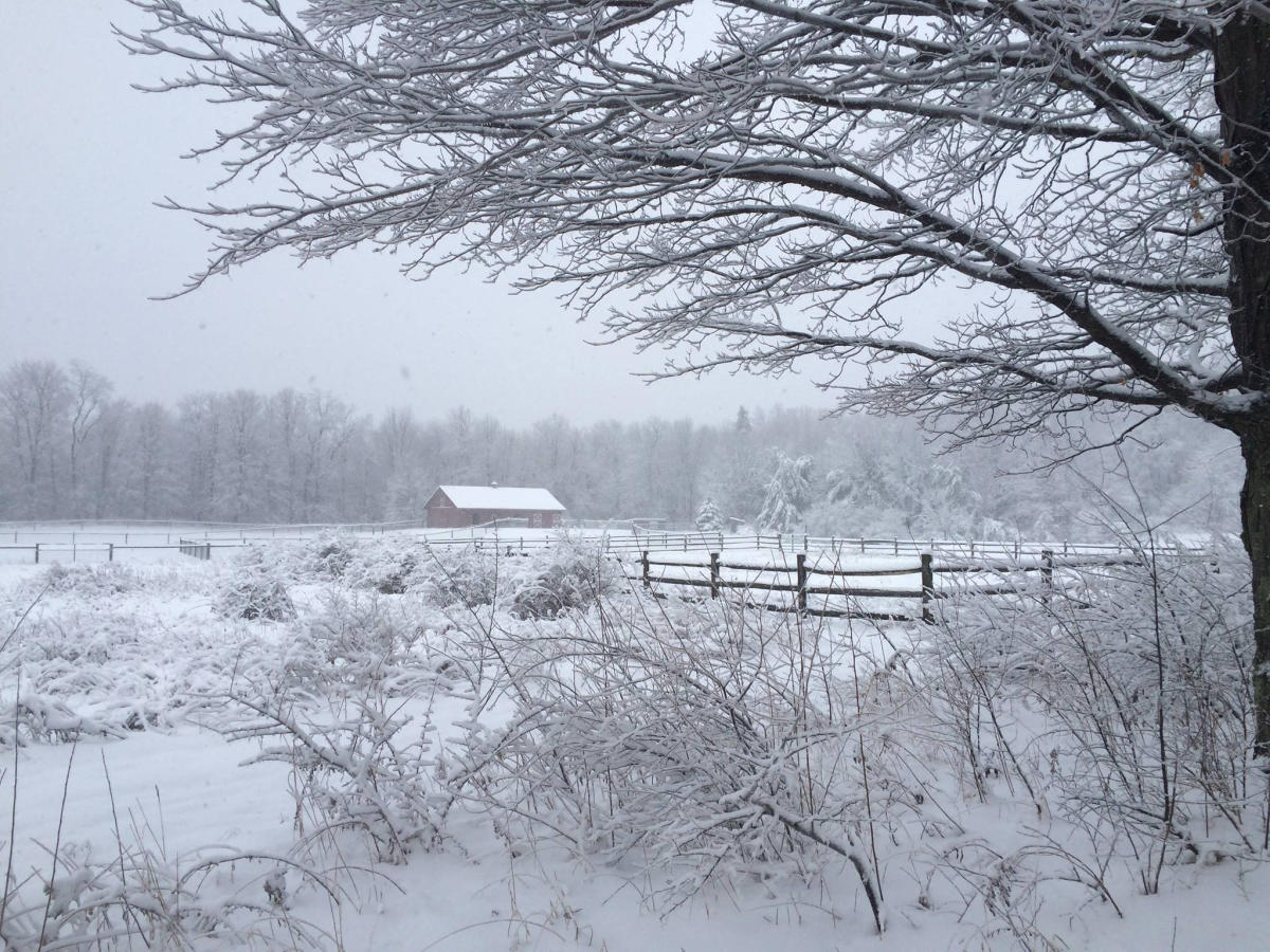 A Snowy Day a Facebook Snow Show