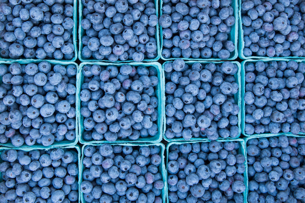 Murphy Farmers Market | Murphy NC, image size:1200x801