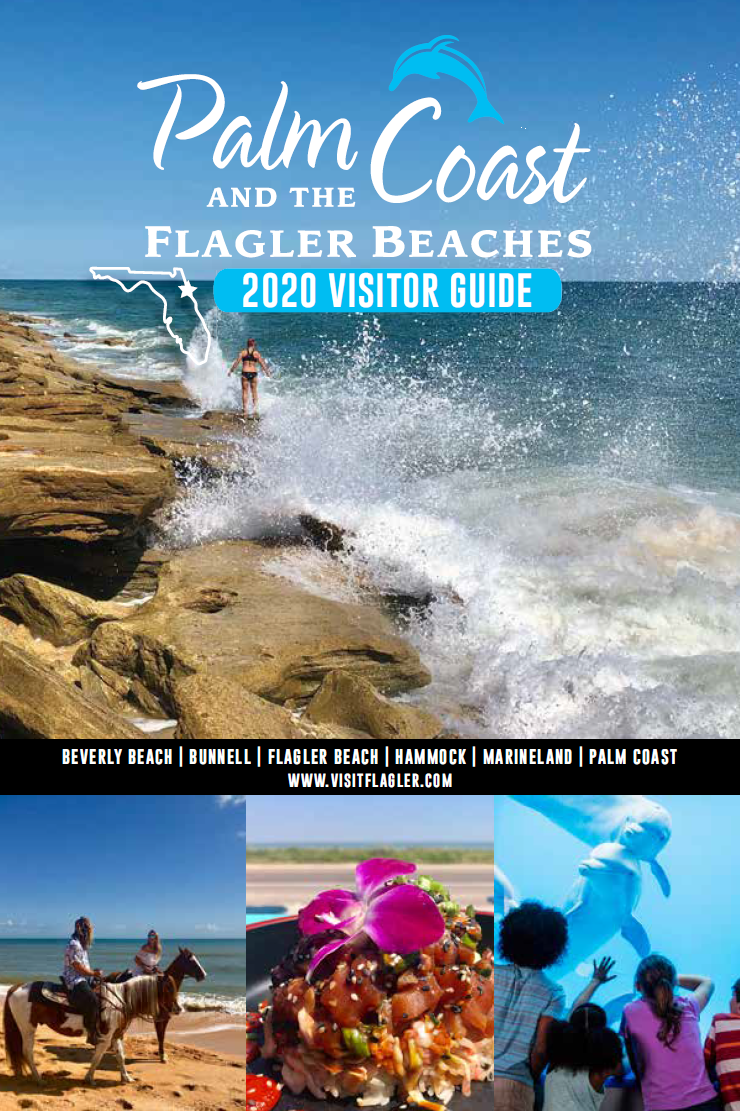 Visitors Guide Brochures Palm Coast The Flagler Beaches