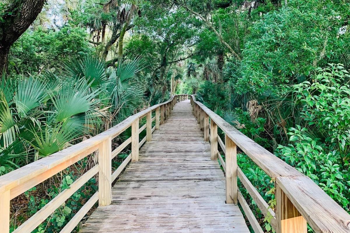 Spring Break Things to Do in Palm Coast & the Flagler Beaches