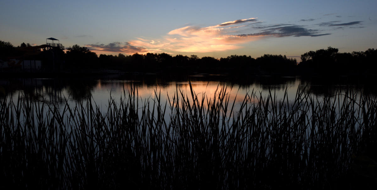 How To Feel Like A Fort Collins Local