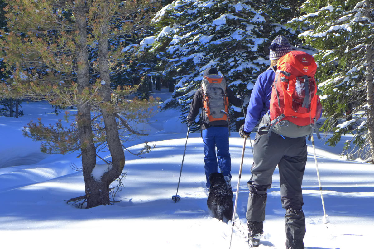Skiing Amp Snowboarding Visit Fort Collins