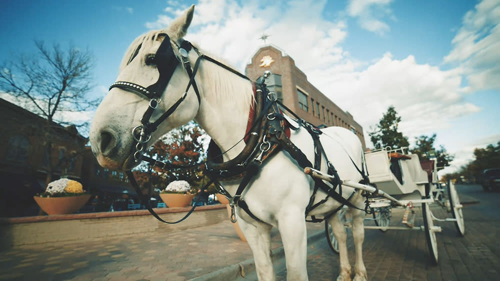 Transportation Visit Fort Collins