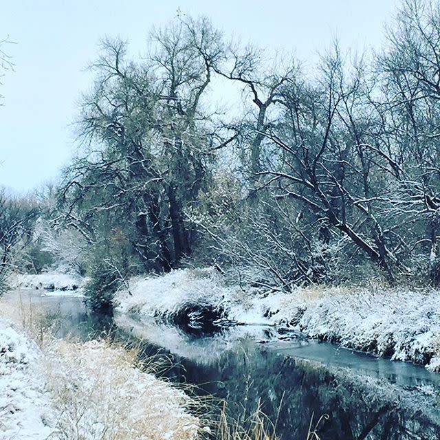 10 Reasons To Plan A Winter Vacation To Fort Collins