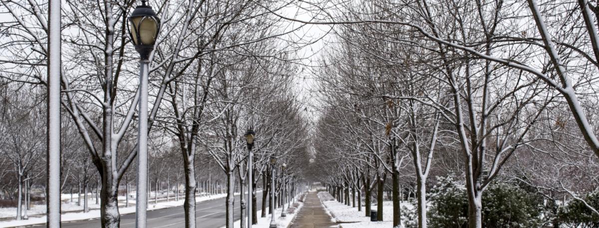Winter Getaways Things To Do Visit Fort Wayne