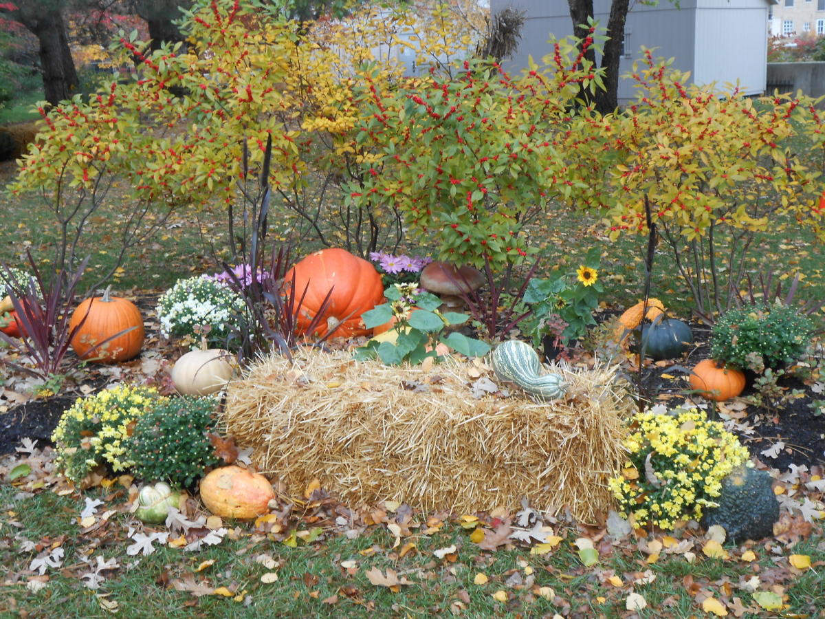 A Scare Factor Guide to Fort Wayne's Halloween Festivities Visit Fort Wayne, Indiana