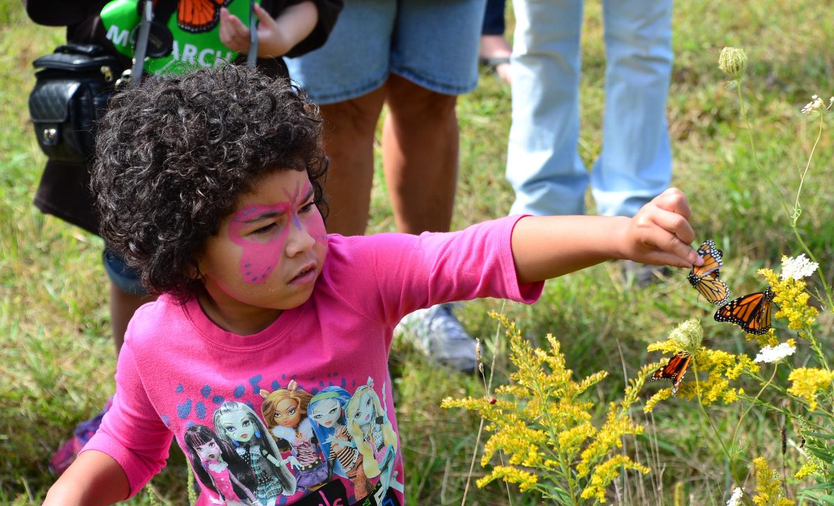 Where to See Monarch Butterflies in Fort Wayne, Indiana Visit Fort Wayne