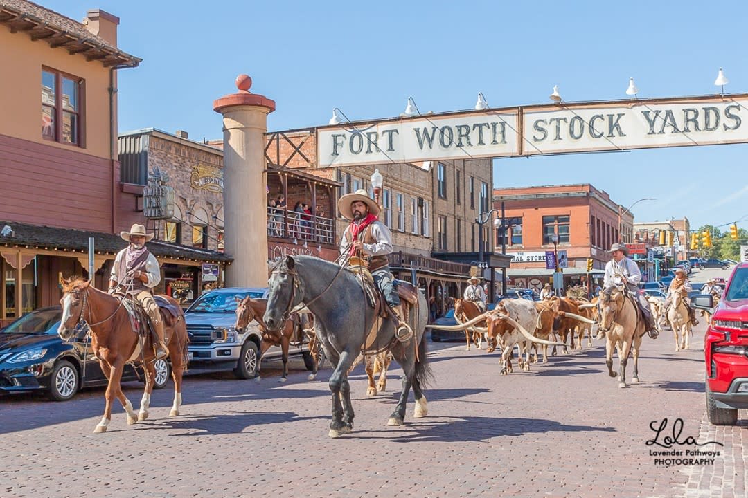 Where the Fort Worth Herd Drovers unwind after the Cattle Drive