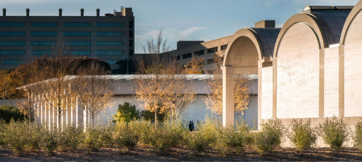Free Things To Do In Fort Worth, TX | Museums & Attractions