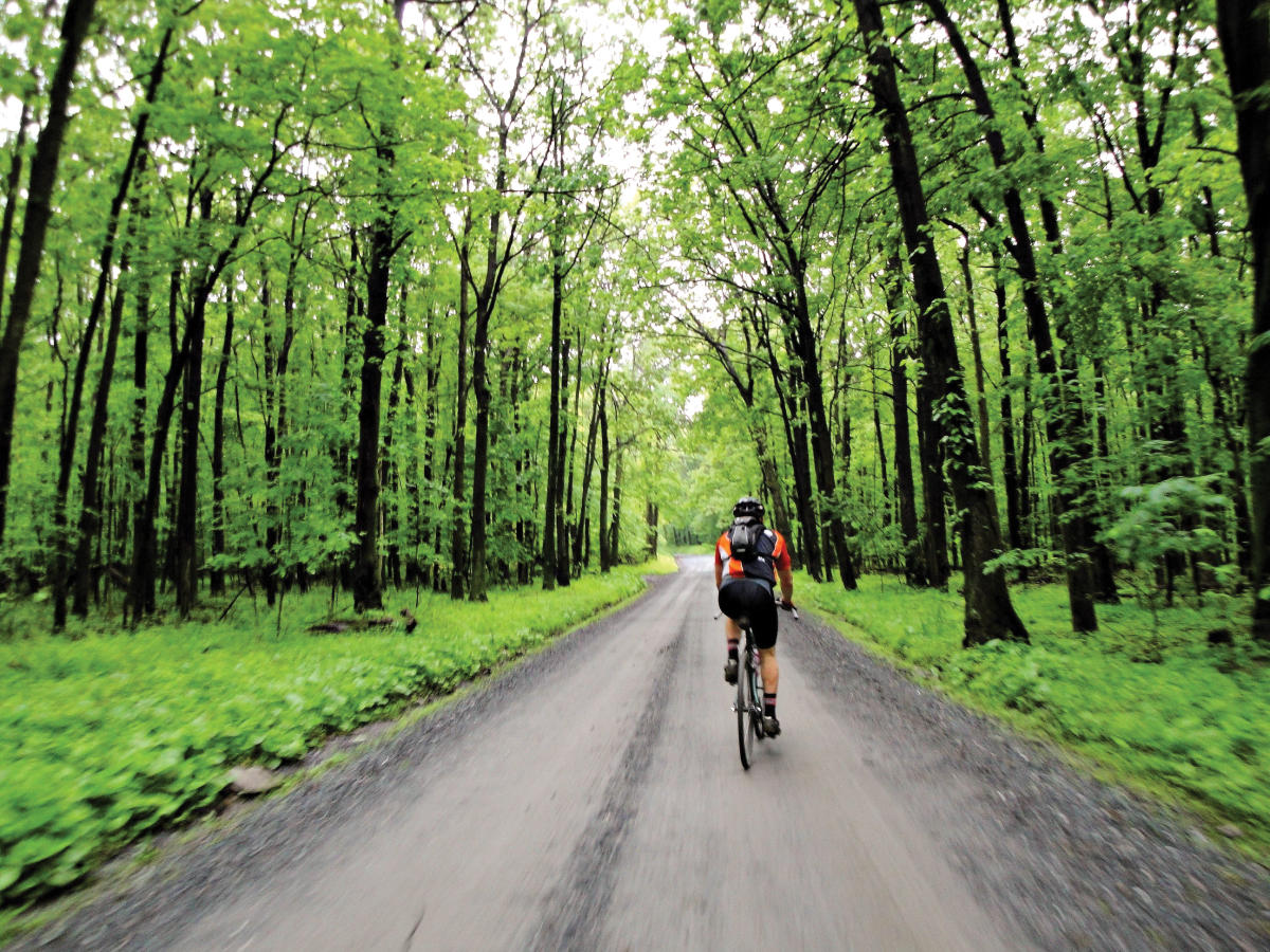 Road cycling trails near me online