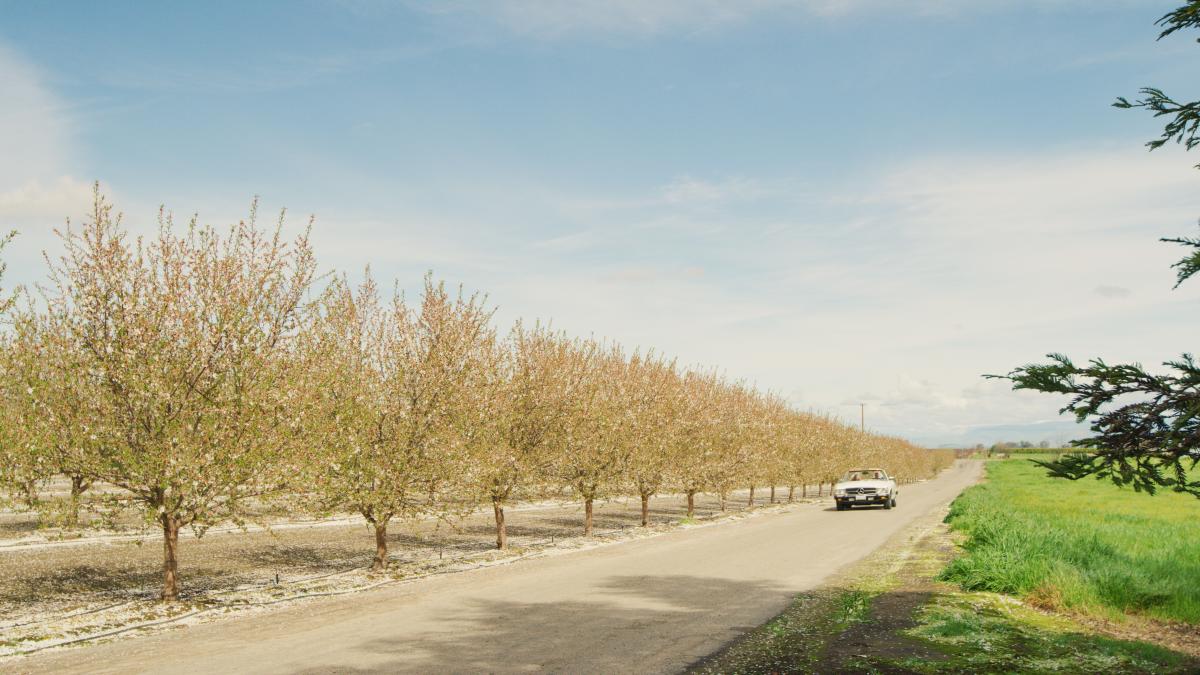 25 Things to Do in Fresno County in 2025