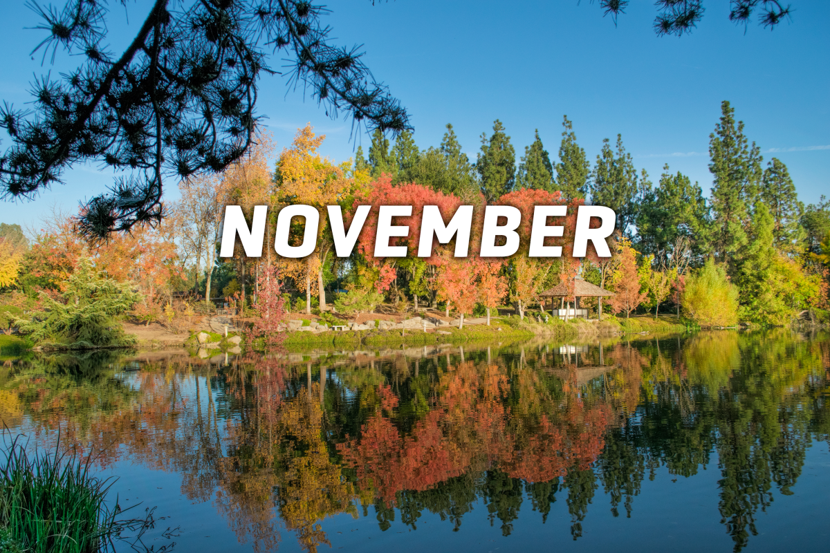 Novmber Events November Events in Fresno County