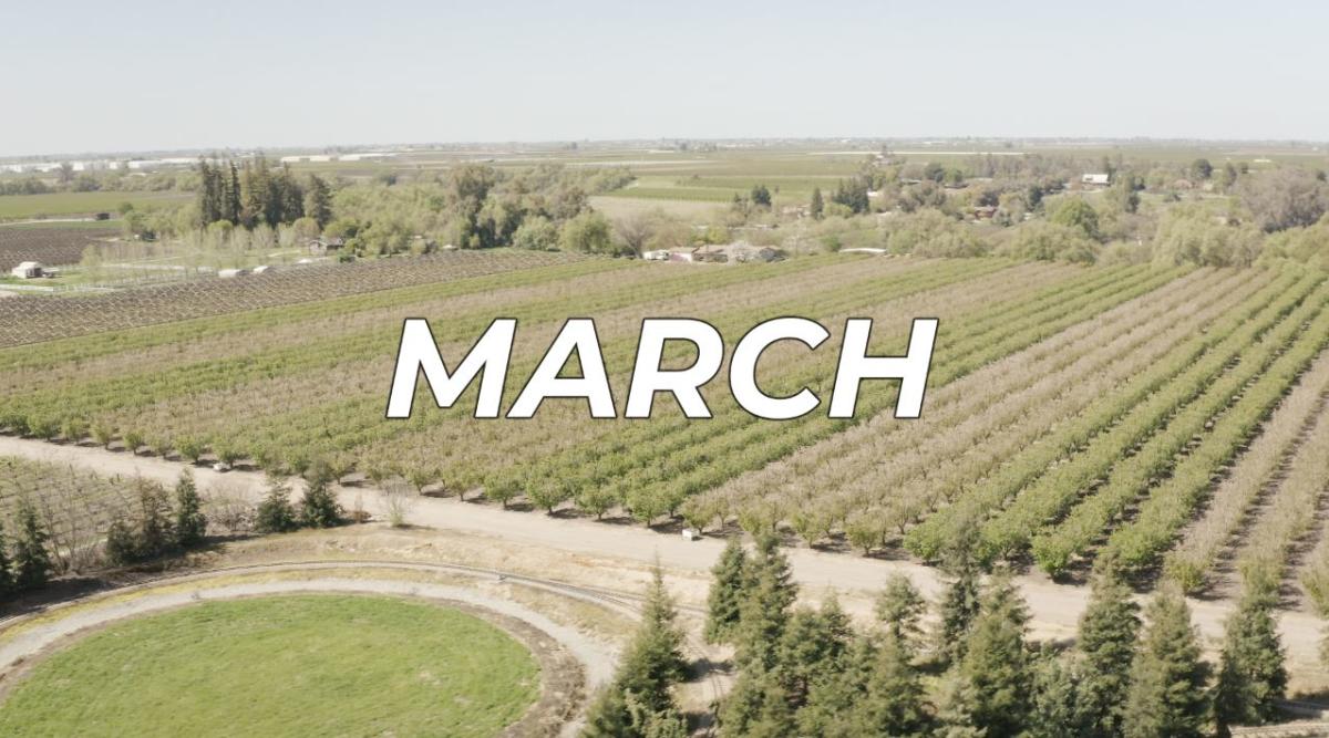 March Events in Fresno County