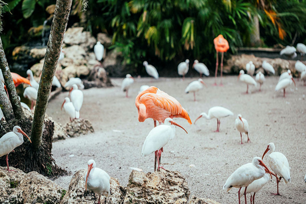 Fort Lauderdale Attractions | Find Parks, Nature & Museums