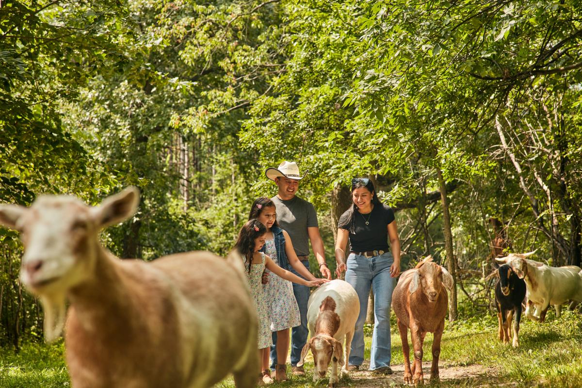 Find Things to Do in Galena, IL | Galena Country