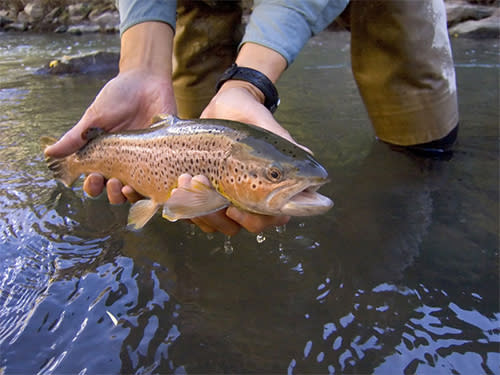 Fishing Lakes And Reservoirs Bryce Canyon Country