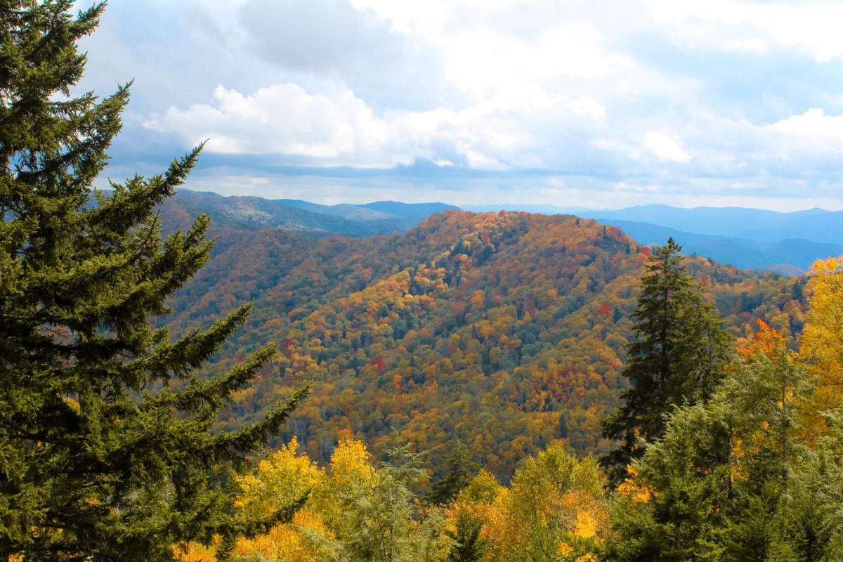 Gatlinburg Fall Foliage Best Time to Visit TN for Fall Colors