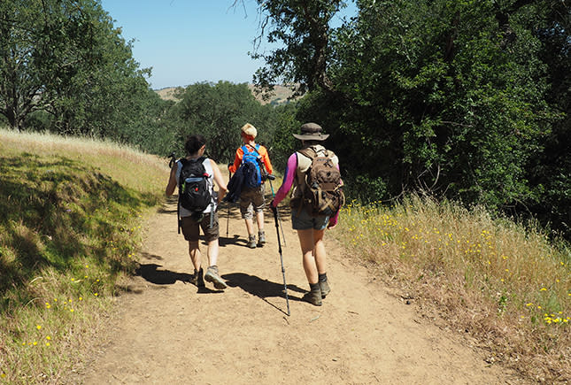 Hikers on a summer warm-up walk near Gilroy