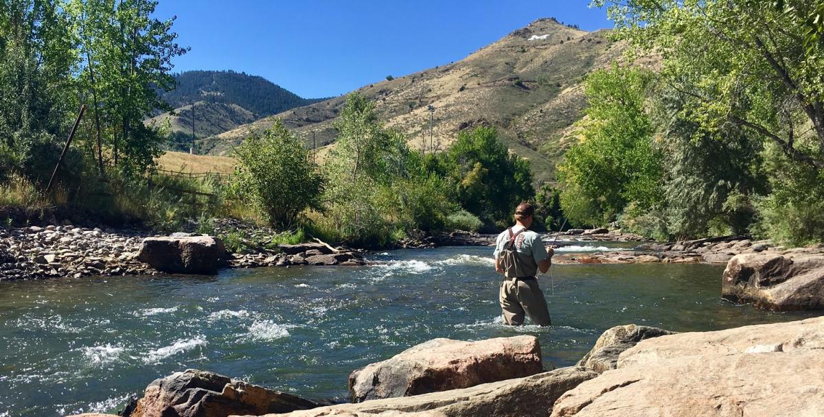 Fishing in Golden, CO  Fishing Licenses & Fly Shops