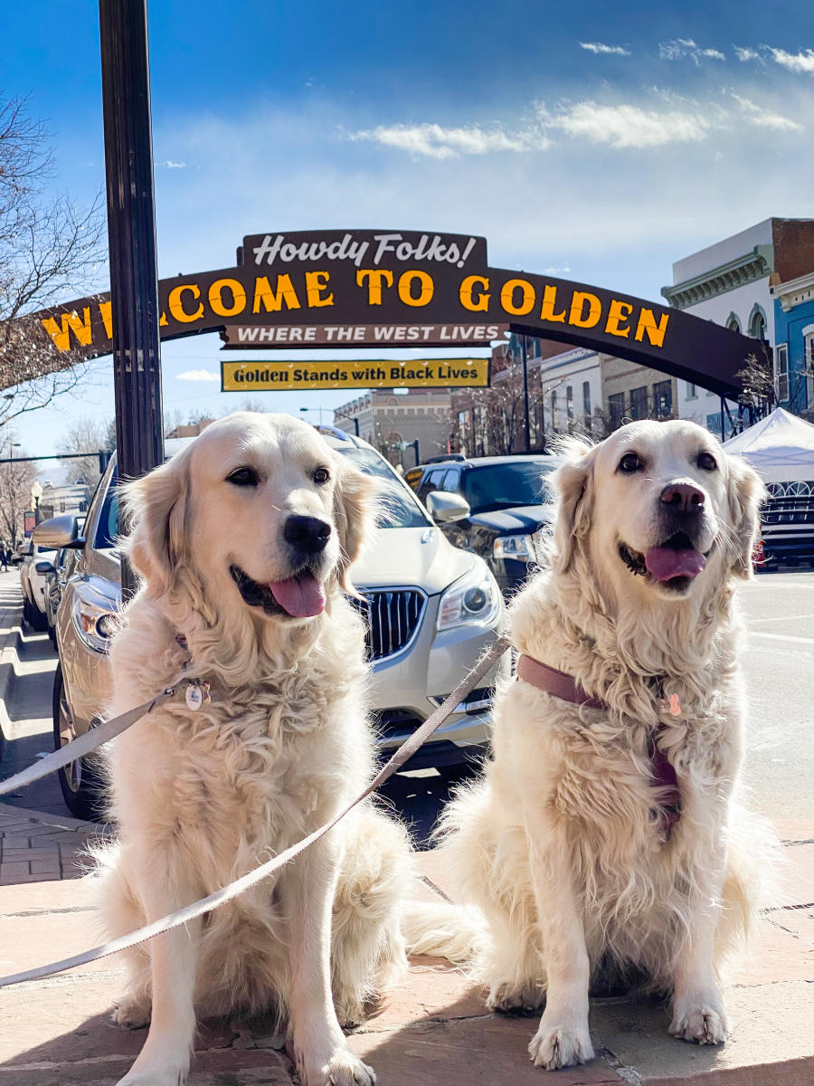 February Fun In Golden