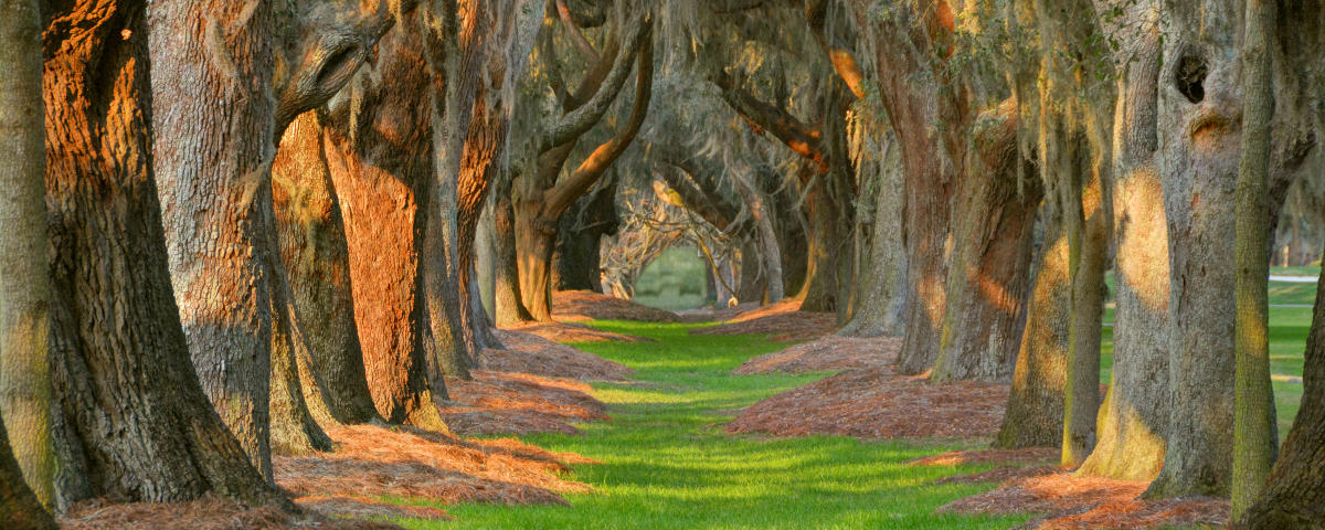 Request Media Form Golden Isles Georgia